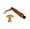 Immagine di COLTELLO COGLIFUNGHI INOX M/LEGNO 26300